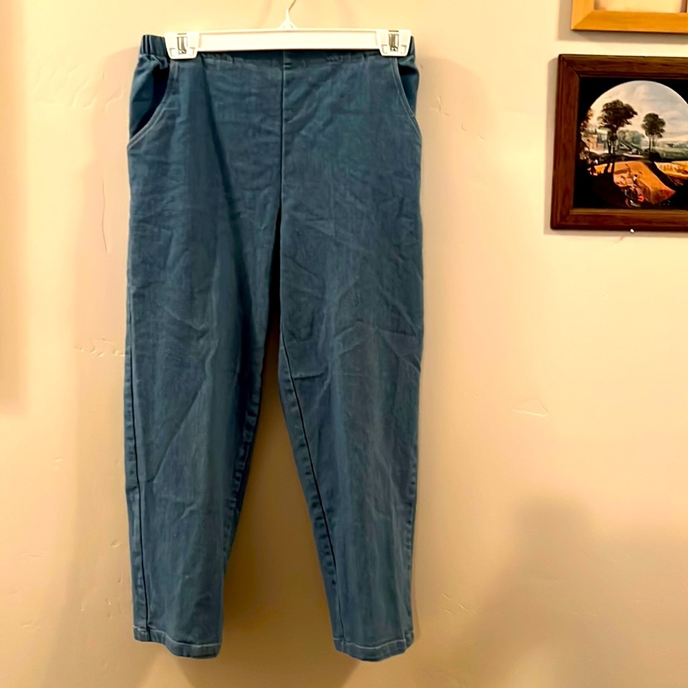 Women’s Jeans, Elastic Waist, Laura Scott, Petit, Size 8P, Good Condition